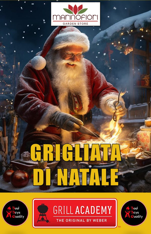 La Grigliata di Natale